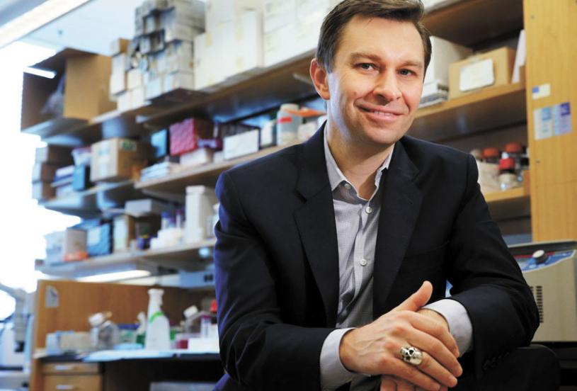 David Sinclair, Experto en Longevidad de Harvard: El Arte de Comer Conscientemente